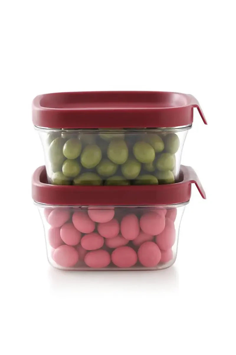 Mastercook - Plastic Container - Set of 2