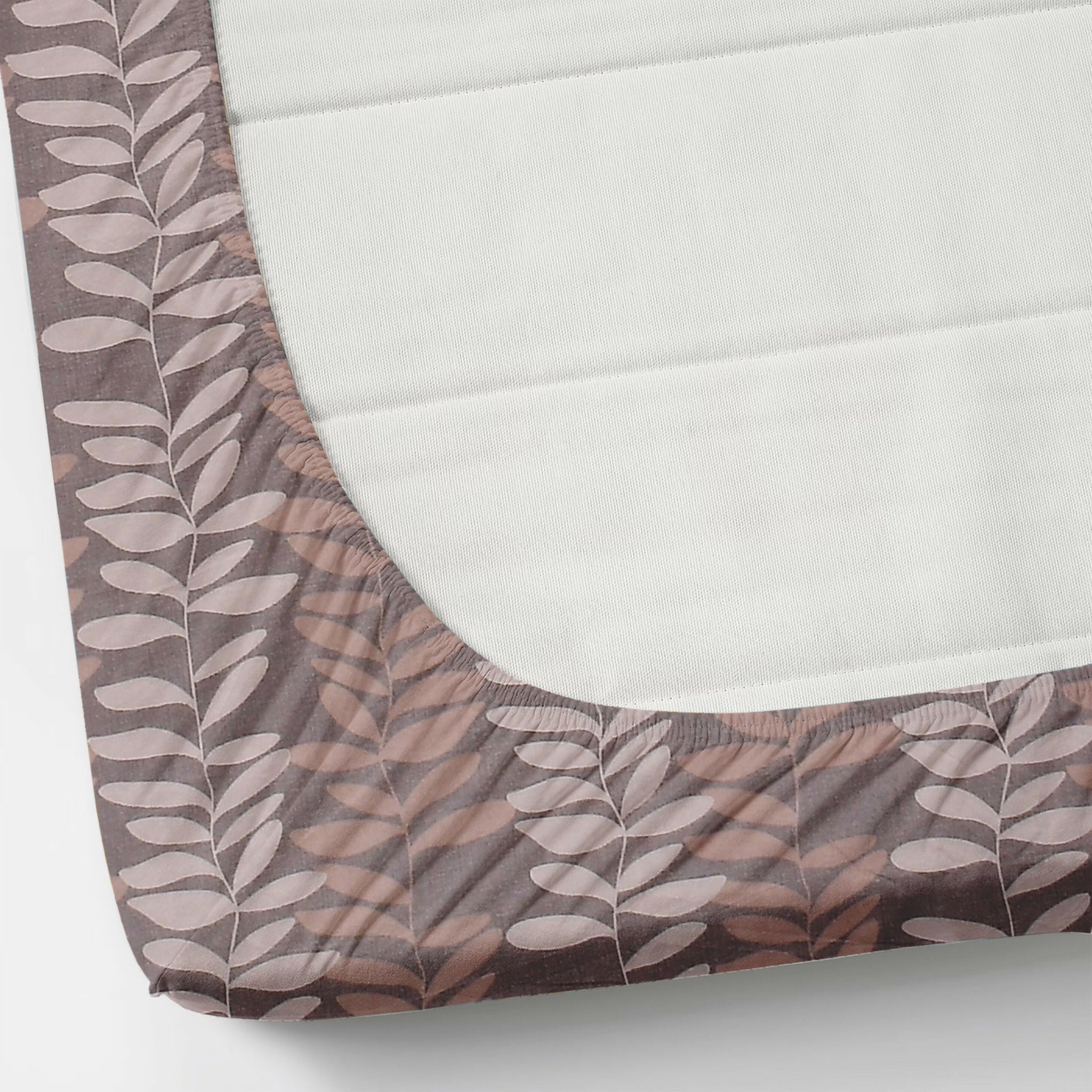 Glace Cotton Elastic Fitted Bedsheet  (Brown)