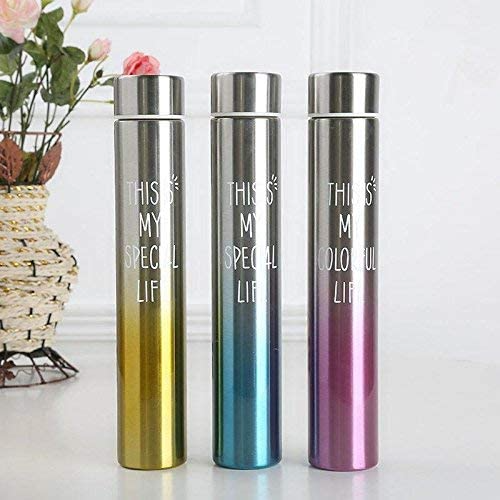 Sleek Stainless Gradient Insulated Bottle - 260ml