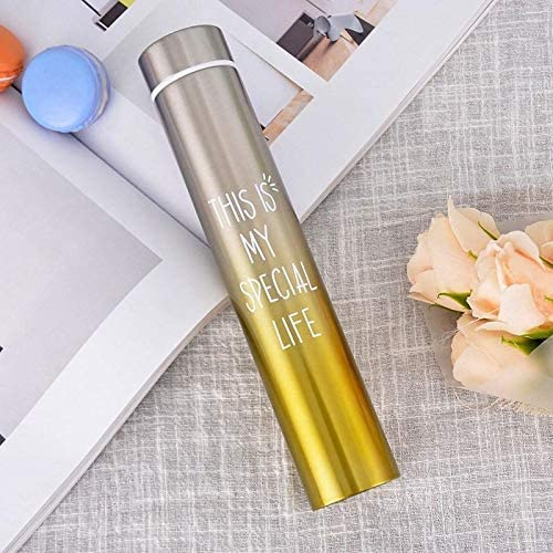 Sleek Stainless Gradient Insulated Bottle - 260ml