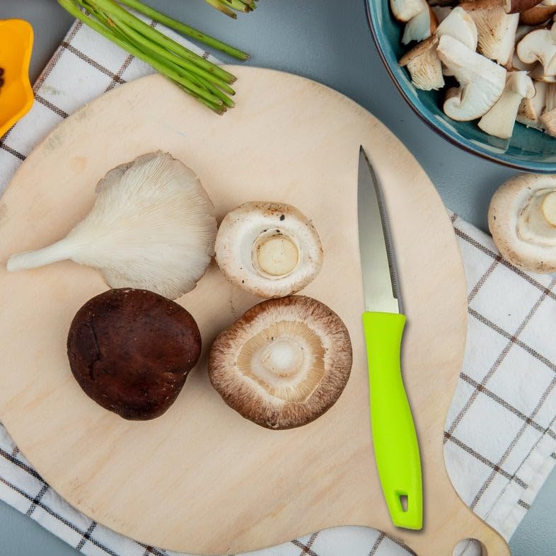 Stainless Steel Combo Set of Gas Lighter with Knife and Peeler (Green Handle)