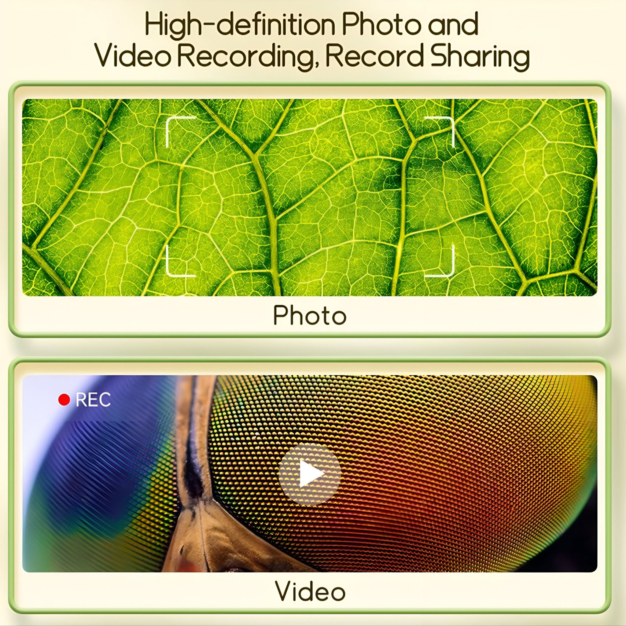 Explore the Micro World – 1000X Digital Zoom Microscope for Kids