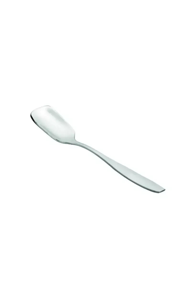 Prabha Stainless Steel Belito Ice Cream Spoon Set - 14cm