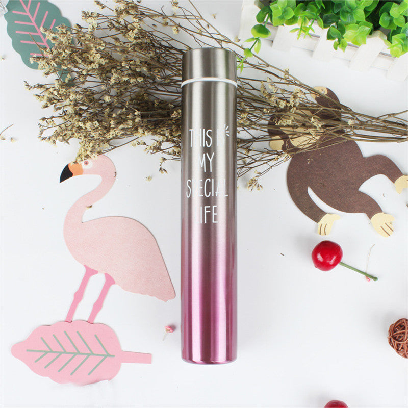 Sleek Stainless Gradient Insulated Bottle - 260ml