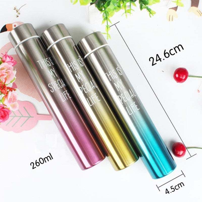 Sleek Stainless Gradient Insulated Bottle - 260ml
