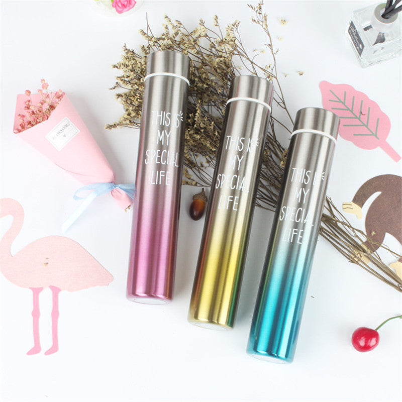 Sleek Stainless Gradient Insulated Bottle - 260ml