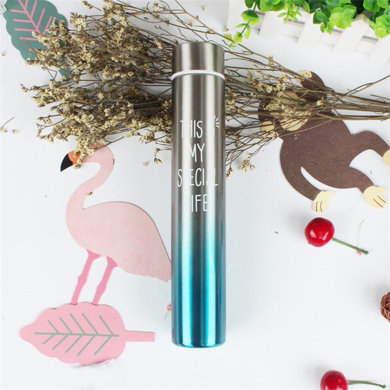 Sleek Stainless Gradient Insulated Bottle - 260ml