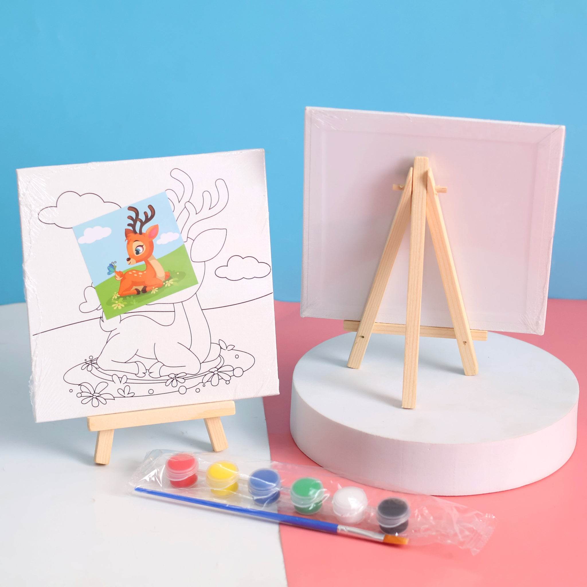 DIY Pre-Printed Canvas Painting Set