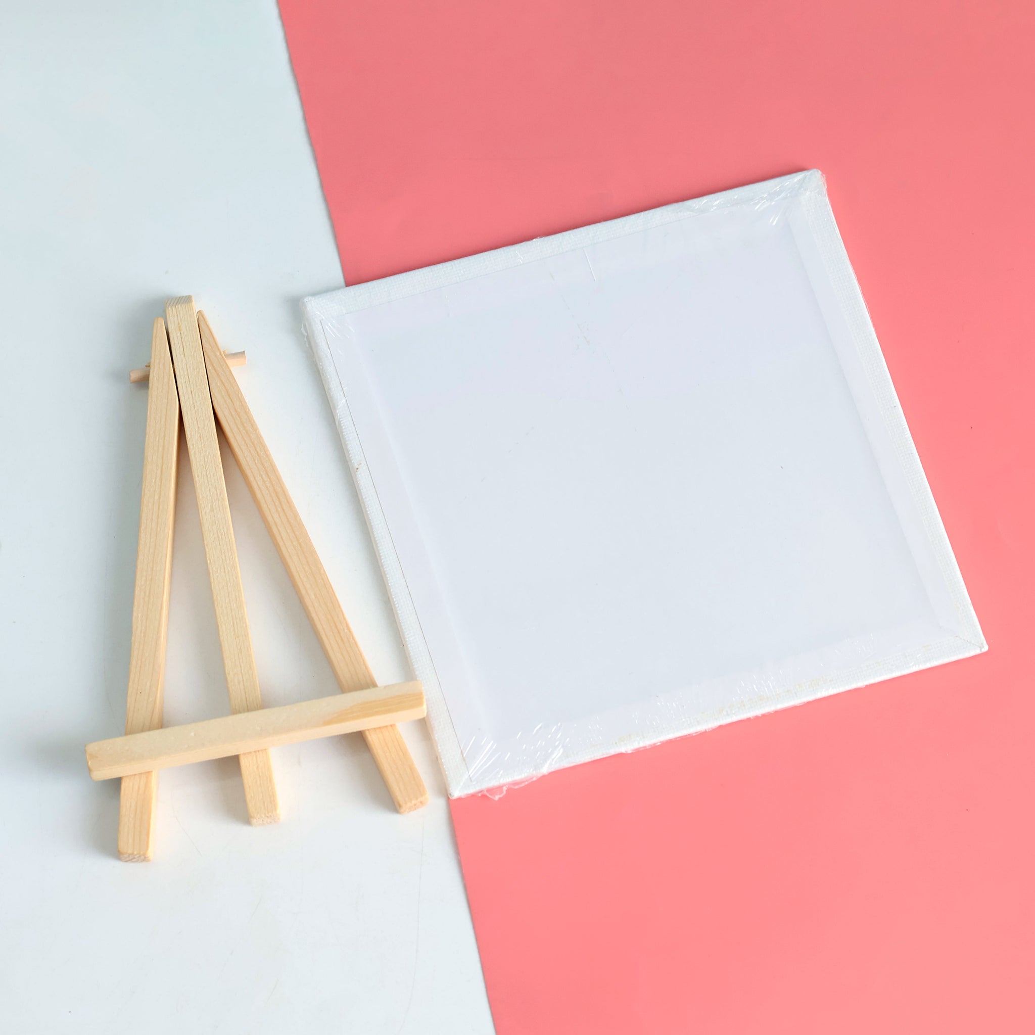 DIY Pre-Printed Canvas Painting Set