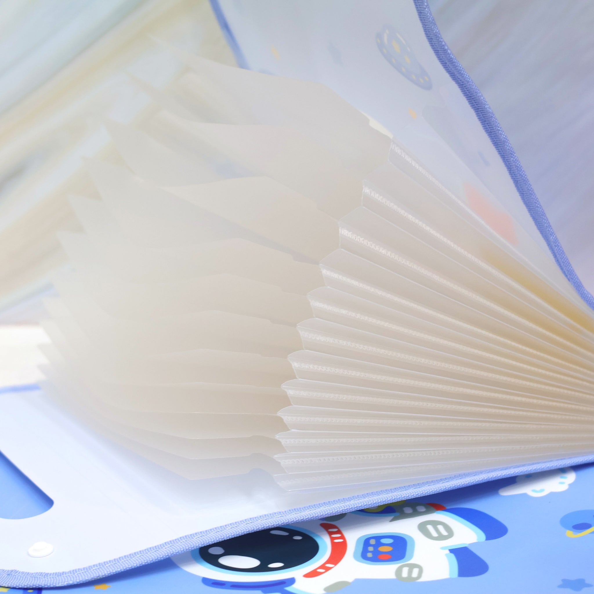 Space A4 Document File Folder - 12 Slots