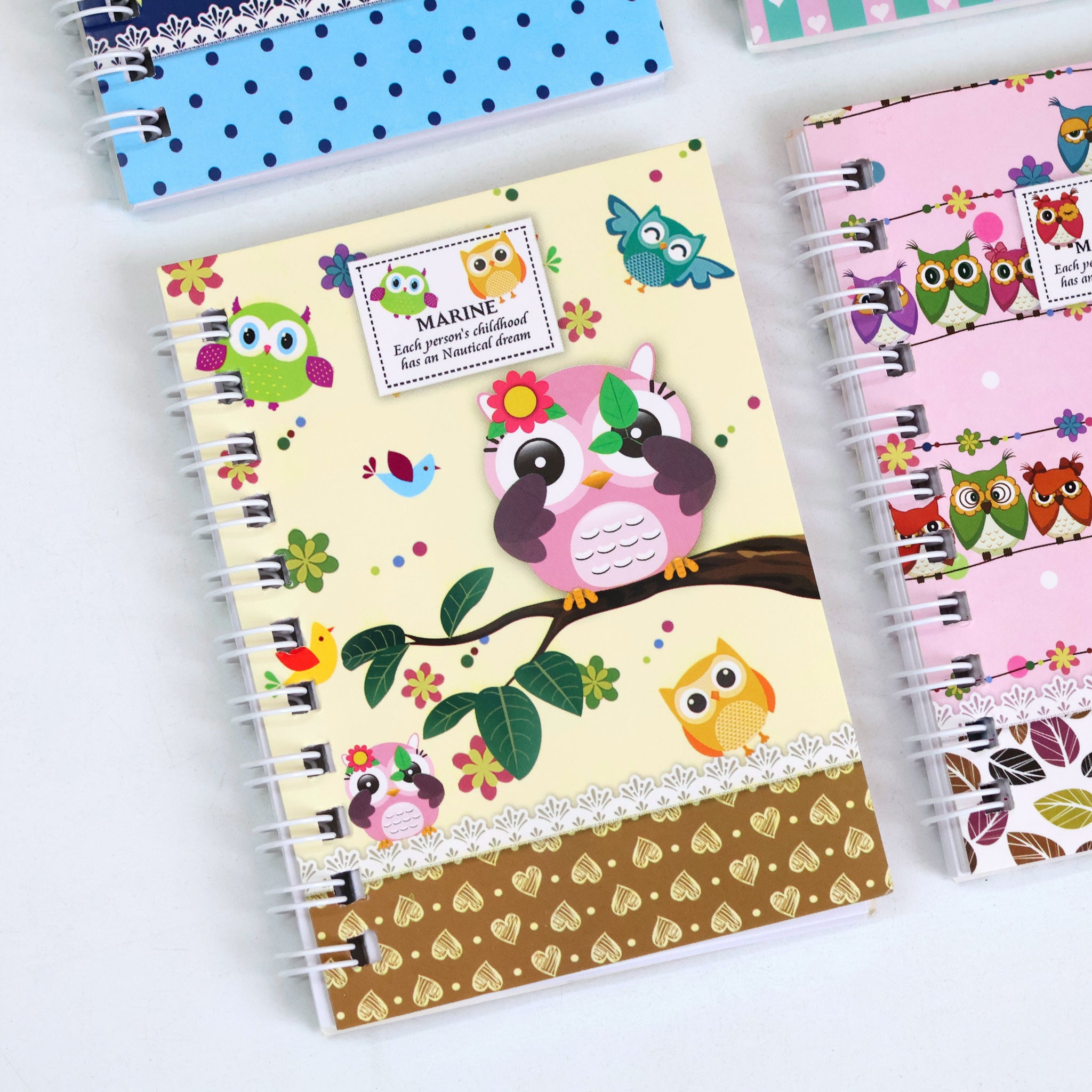 Owl Mini Pocket Spiral Diary