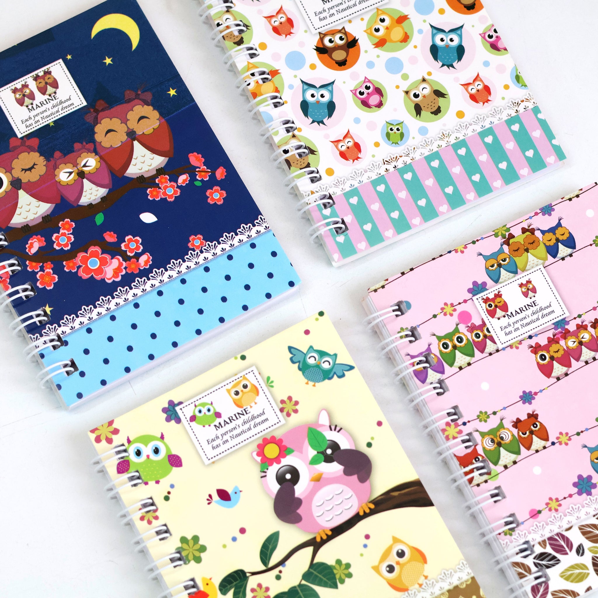 Owl Mini Pocket Spiral Diary