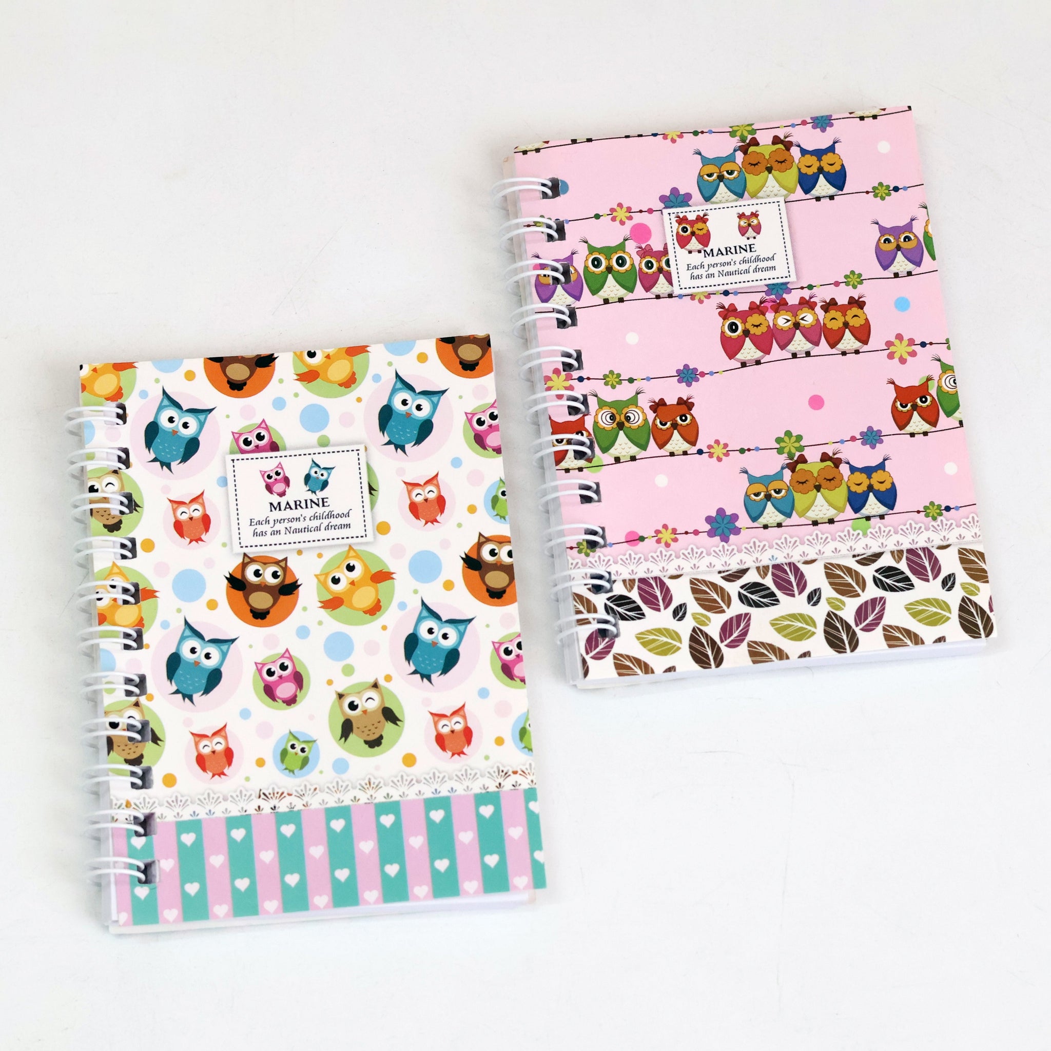 Owl Mini Pocket Spiral Diary
