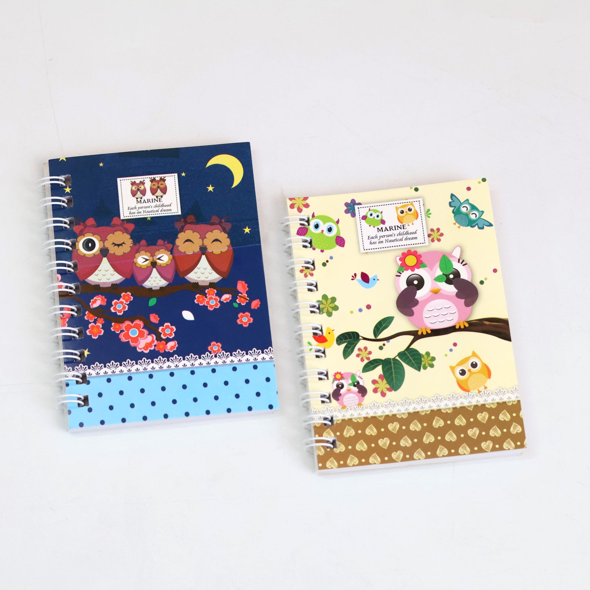 Owl Mini Pocket Spiral Diary