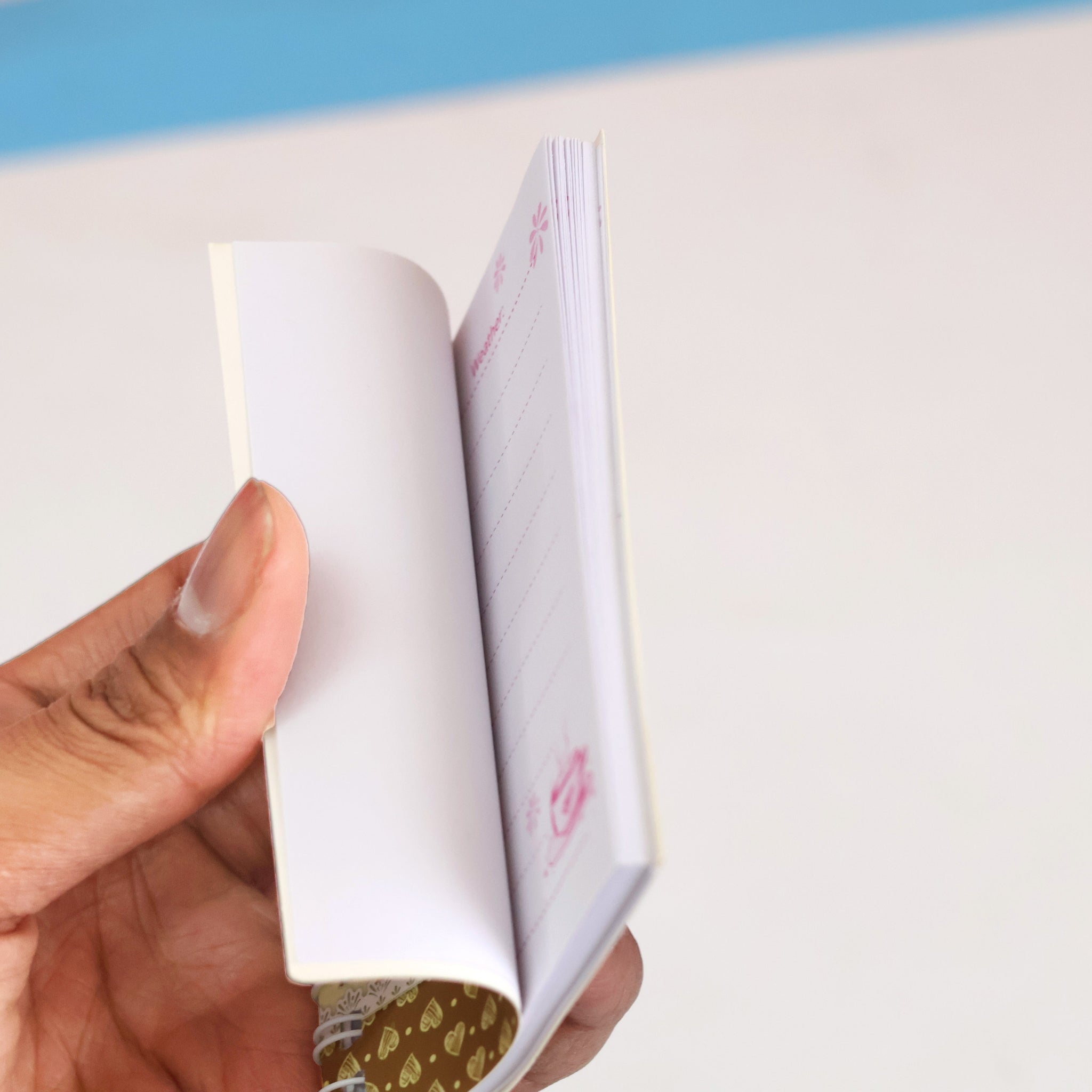 Owl Mini Pocket Spiral Diary