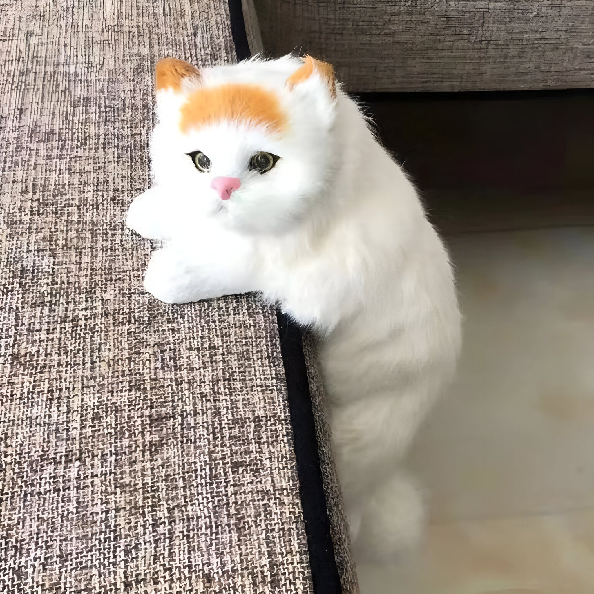 Simulation Hanging Cat Plush Toy - Cuteness Overload!