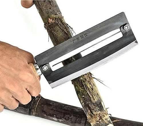 P-Plus International Sugarcane & Pineapple Peeling Knife (26 x 6 cm)