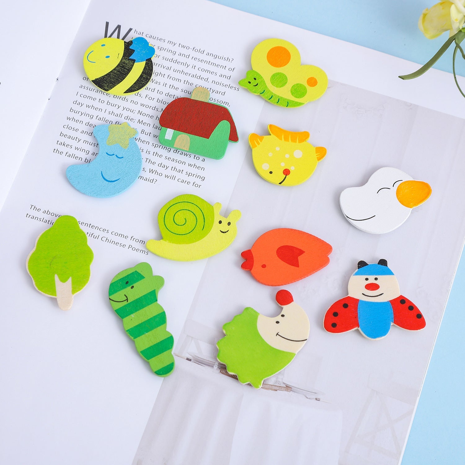 Animal Wooden Fridge Magnet Pack of 12