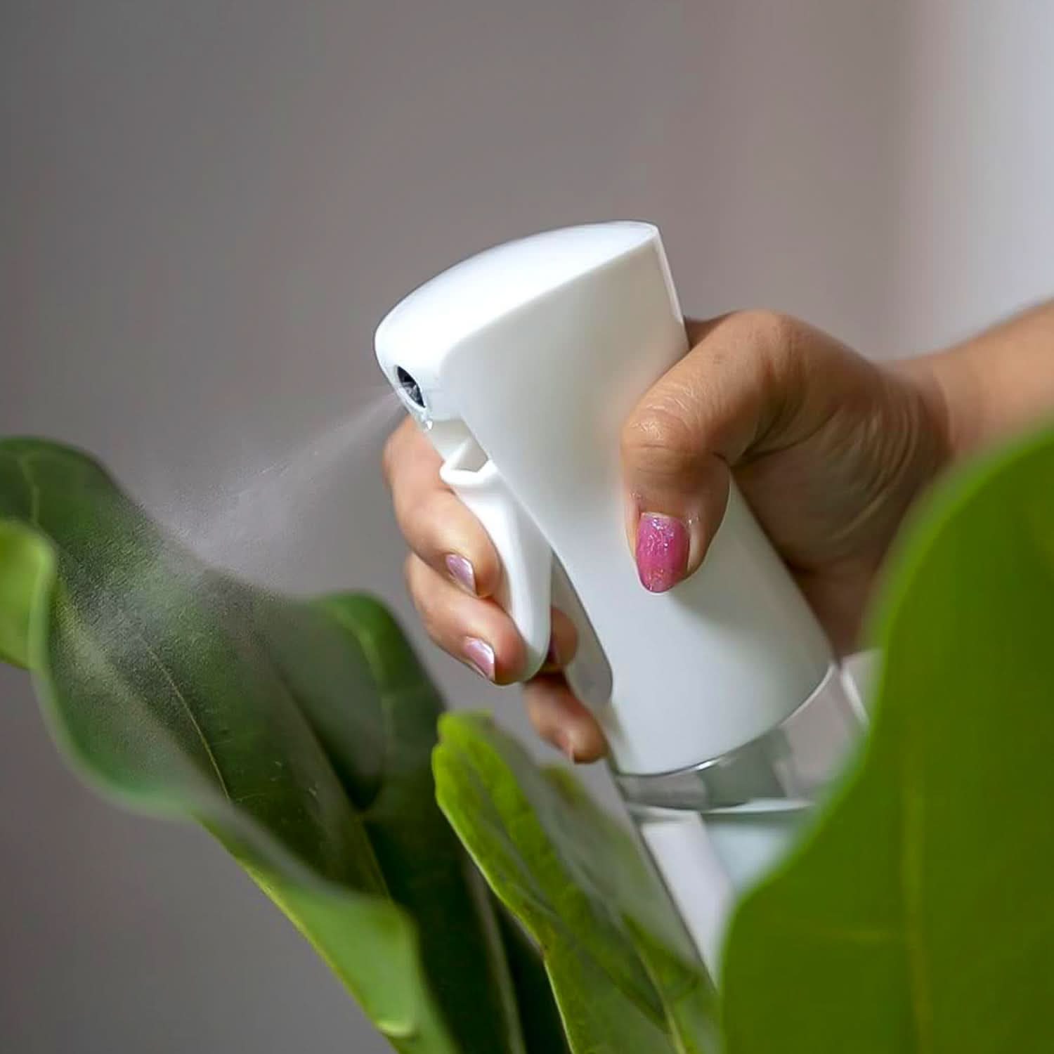 Plastic Oil Spray Bottle Versatile Kitchen Gadgets (250 Ml Approx  With White Box)