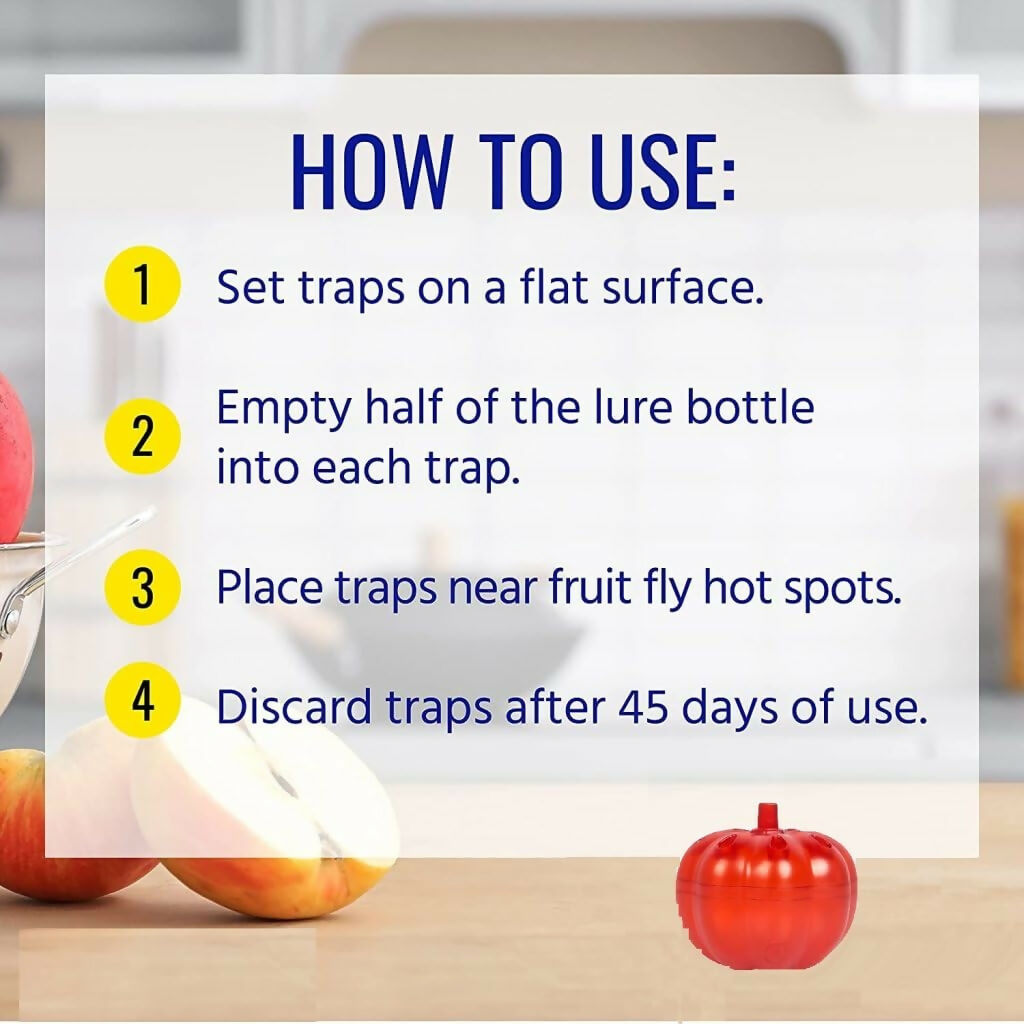 Pumpkin Fruit Fly Traps for Home Safe, Non-Toxic Indoor Gnat Killer (2 pcs)