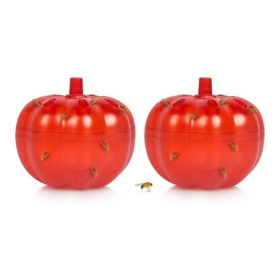Pumpkin Fruit Fly Traps for Home Safe, Non-Toxic Indoor Gnat Killer (2 pcs)