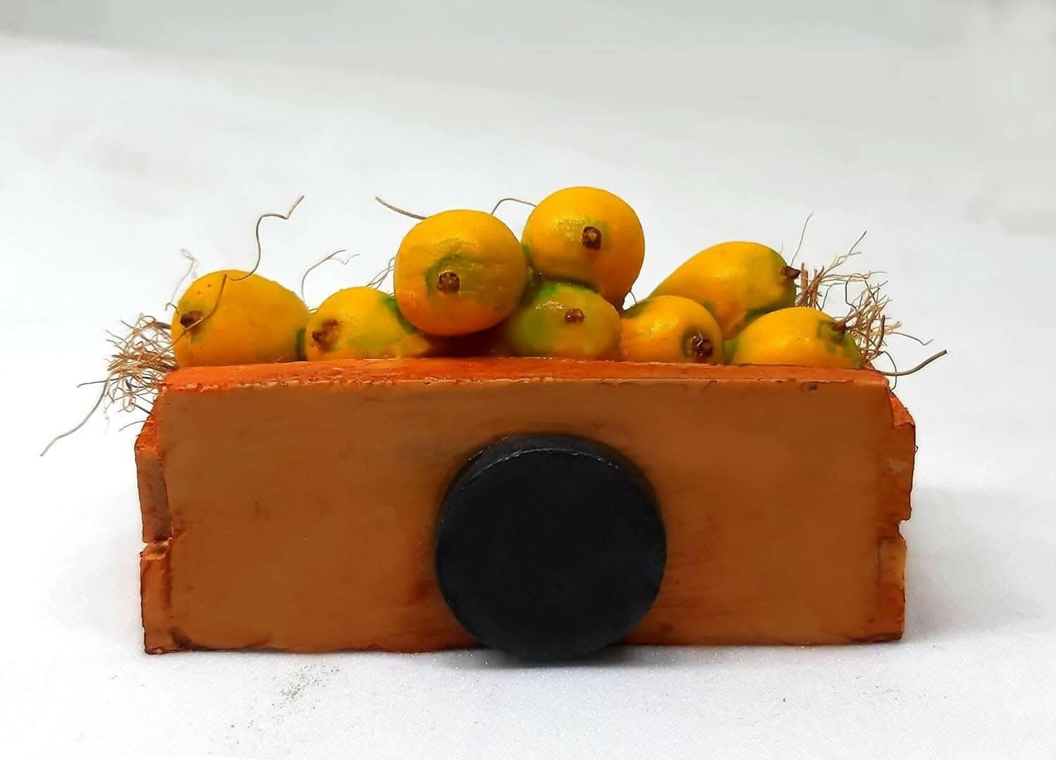 Aam ki Petti Miniature Fridge Magnet