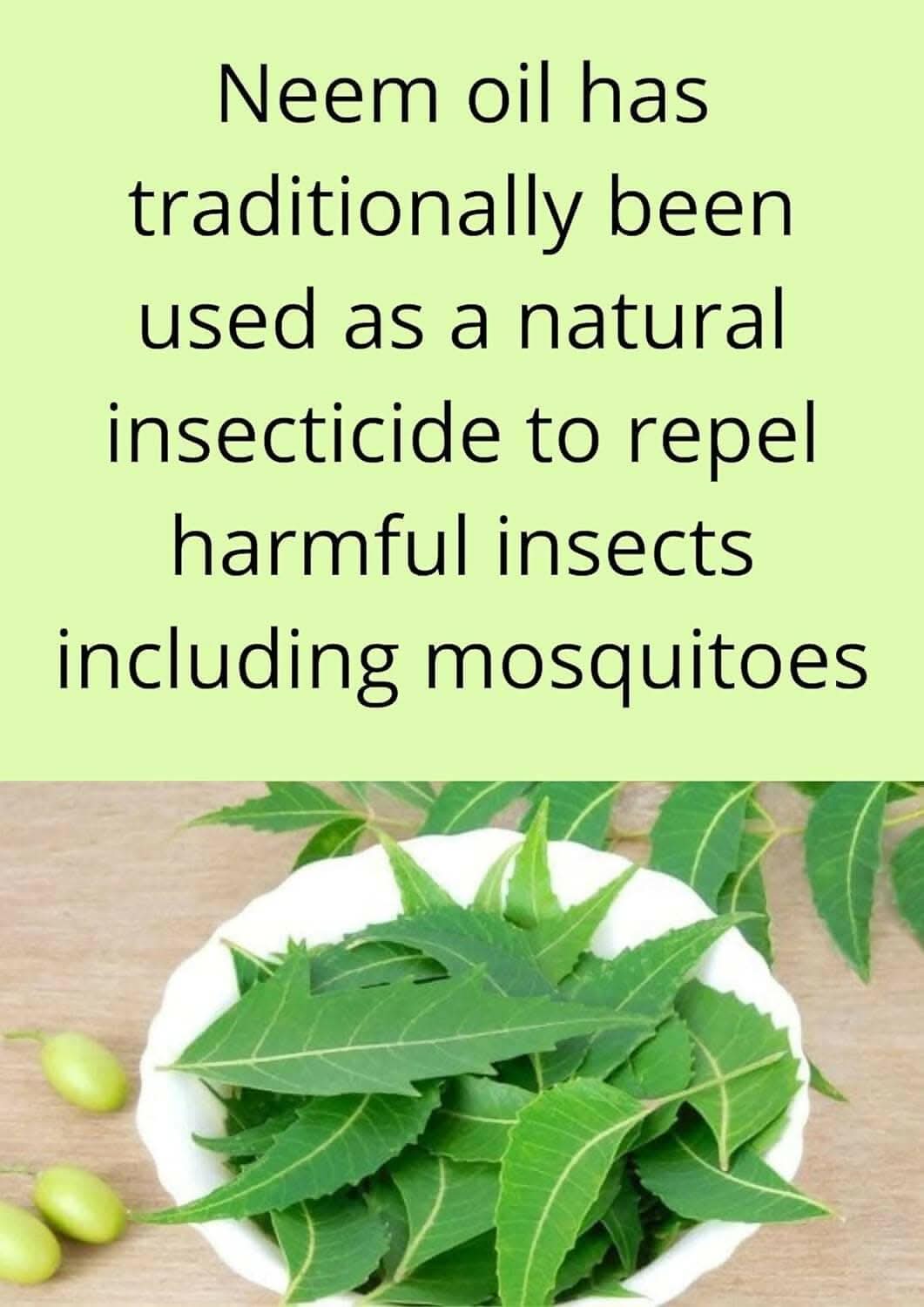 Gaumayam Prahaar Neem Mosquito Repellent Agarbatti (60 Sticks)