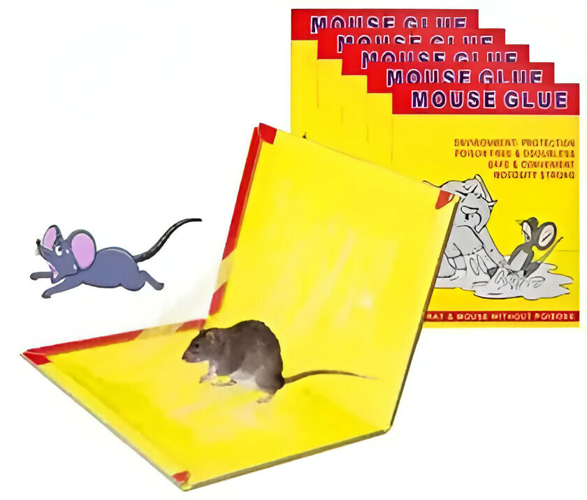 Sticky Glue Trap Pads for Rats, Mice, Lizards, and Rodents – Snap Trap (Pack of 5)