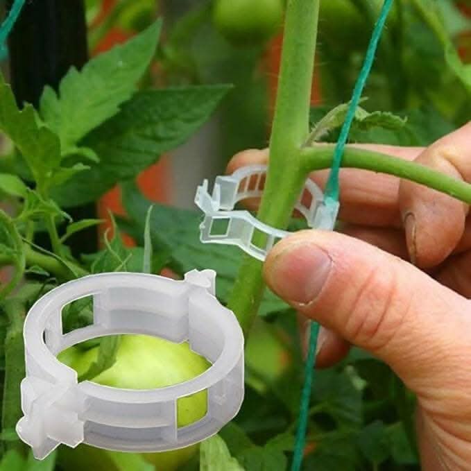 Ecofynd Plant Support Clips for Vegetables & Flowers (100pcs)