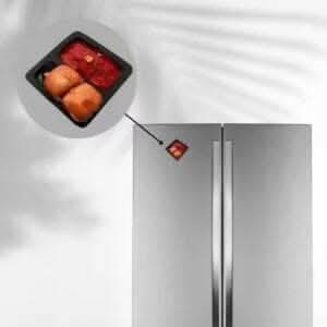 Pav Bhaji Miniature Food Fridge Magnet