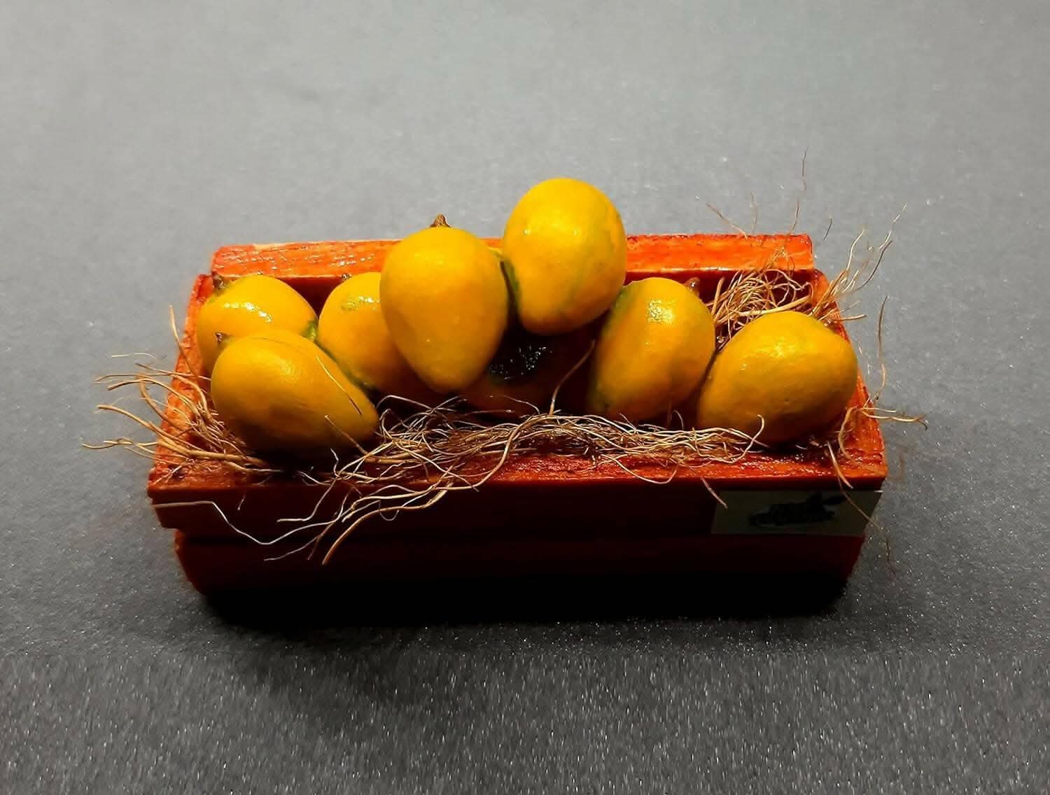 Aam ki Petti Miniature Fridge Magnet