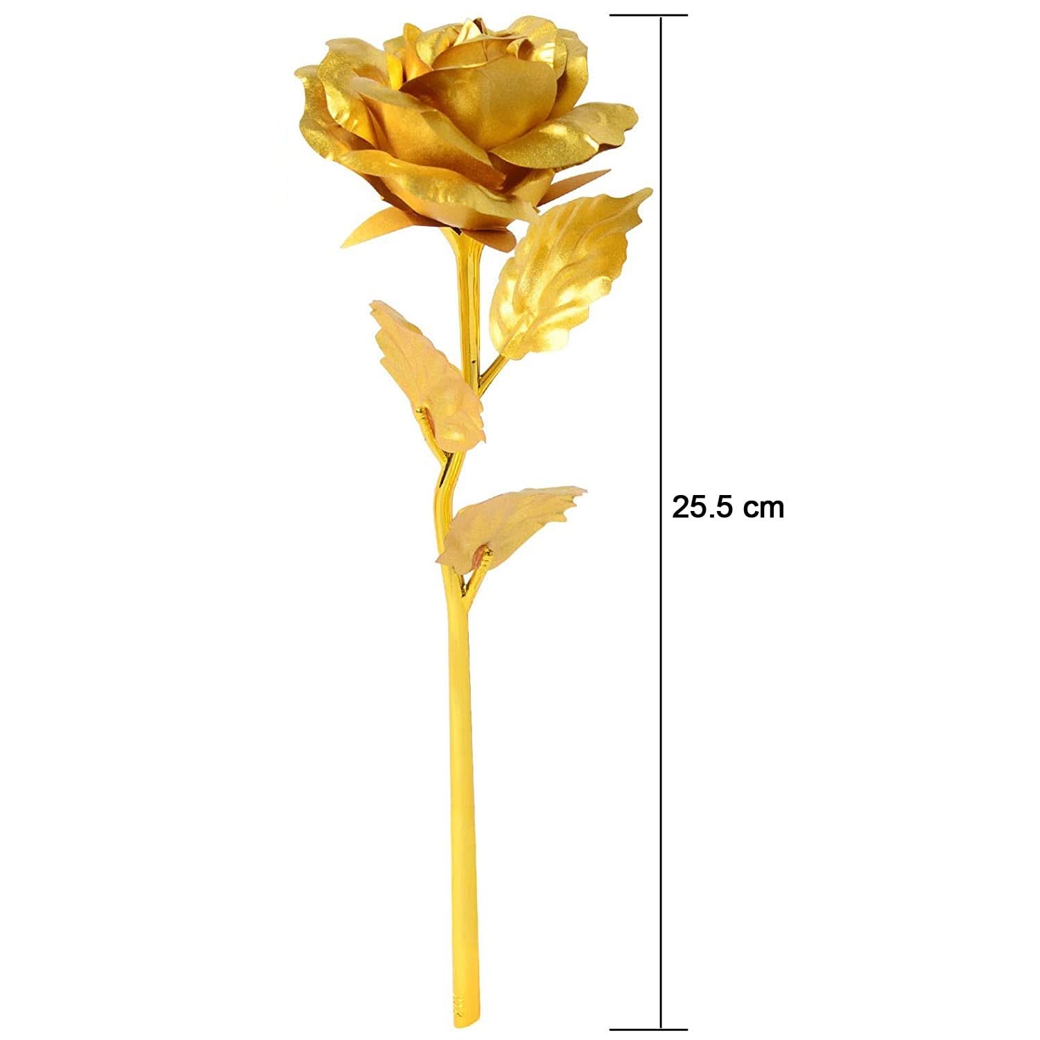 Golden Rose